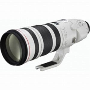 【クリックでお店のこの商品のページへ】Canon 交換レンズ Canon EF 200-400mm f/4L IS