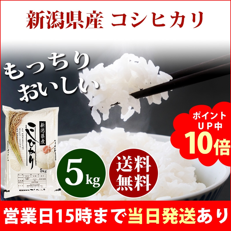 玄米　5kg コシヒカリ　新米　埼玉県産　令和5年産　送料無料　米　5キロ