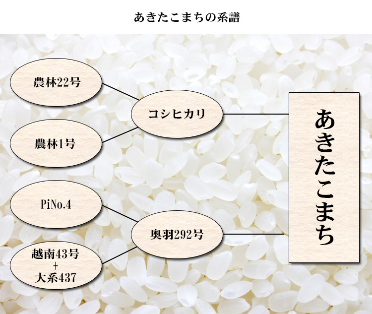 あきたこまちの系譜