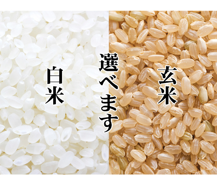 玄米選べます