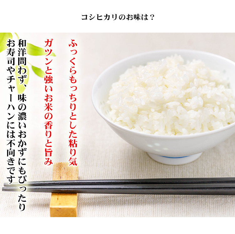 新米 米 20kg 千葉県産 コシヒカリ 1等米 5kg×4袋 令和4年 お米 20kg 送料無料 北海道・沖縄は追加送料 20キロ  安い：[あだちねっと美米屋]