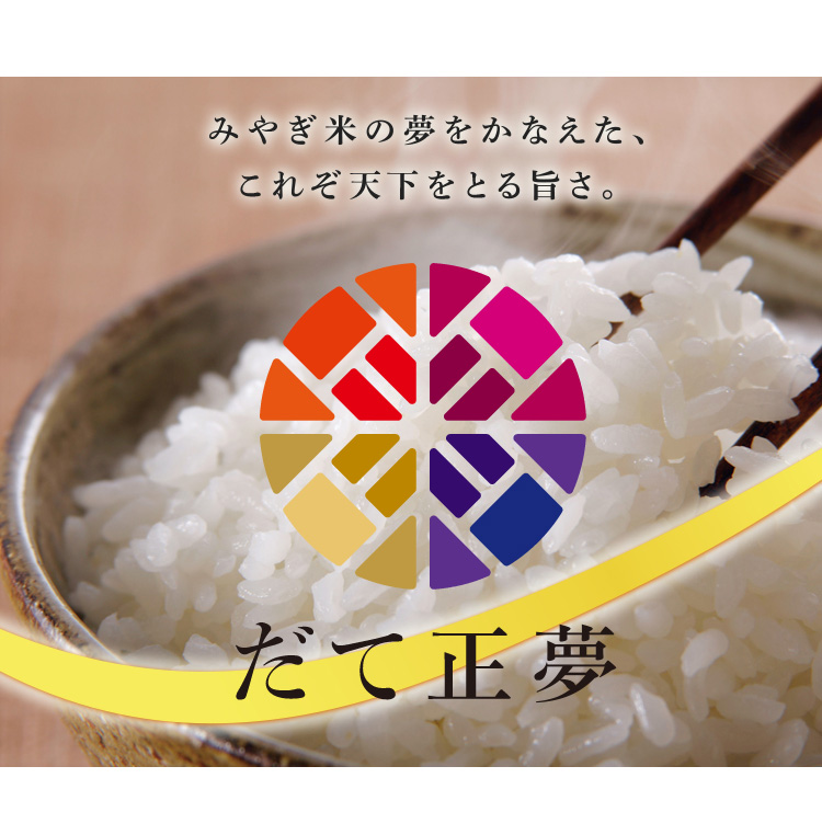 福岡県産米もち米20kg お米 精白米 お餅 ヒヨクモチ お赤飯 - 通販
