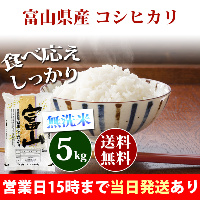 美味しいお米 令和4年 埼玉県産 コシヒカリ 白米 5kg 送料無料
