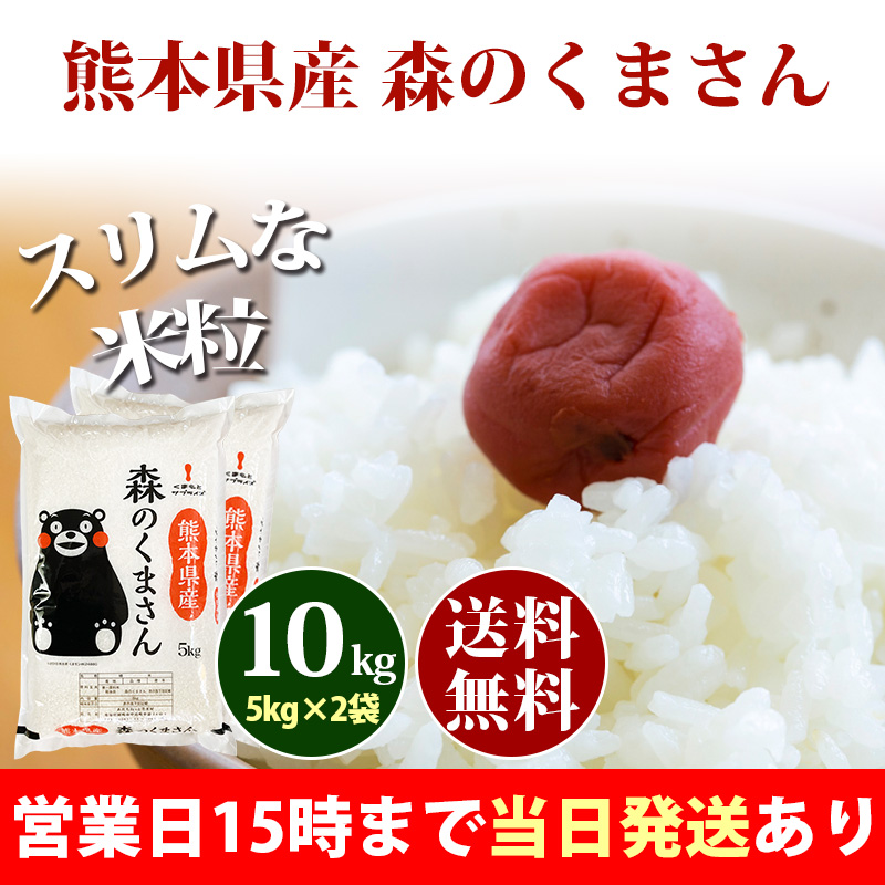 米 10kg 熊本県産 森のくまさん 5kg×2袋 令和4年 お米 10kg 送料無料 北海道・沖縄は追加送料 あす着 10キロ 安い