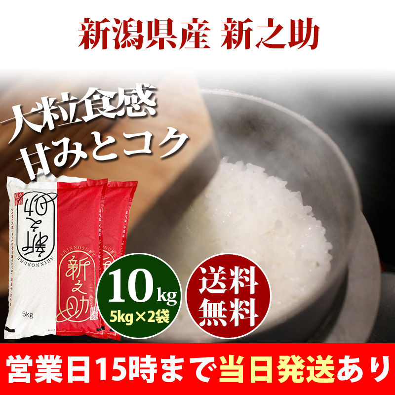 米 10kg 新潟県産 新之助 しんのすけ 1等米 5kg×2袋 令和5年 お米 10kg 送料無料 北海道・沖縄は追加送料 あす着 選べる 白米 玄米 10キロ 安い