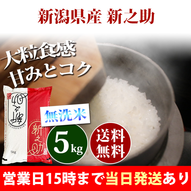 米 無洗米 5kg 新潟県産 新之助 しんのすけ 1等米 令和5年 お米 5kg 送料無料 北海道・沖縄は追加送料 あす着 5キロ 安い