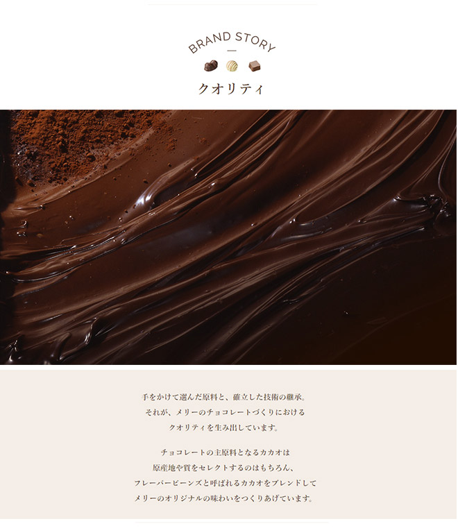 想いを贈るチョコレート ファンシーチョコレート