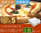 九州フェア 南の大地ピザ　５枚セット 彩り鮮やかでたくさんの味を楽しめるのでパーティーなどに最適です。