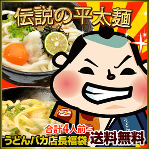 【100P商品賞】【5月レジ】伝説の平太麺4人前（220g×2）