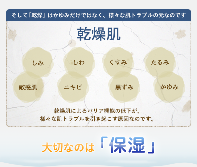 そして「乾燥」はかゆみだけではなく、様々な肌トラブルの元なのです　【乾燥肌】しみ、しわ、くすみ、たるみ、敏感肌、ニキビ、黒ずみ、かゆみ　乾燥肌によるバリア機能の低下が、様々な肌トラブルを引き起こす原因なのです。大切なのは「保湿」