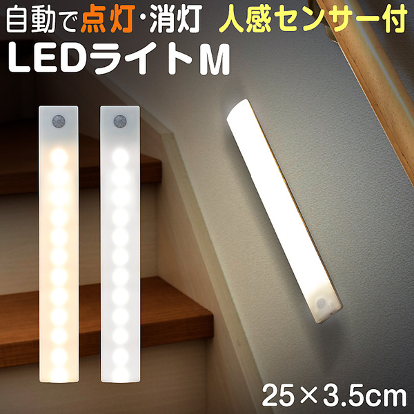 ヤマダモール | センサーライト 照明 Mサイズ ledセンサーライト LED ...