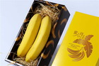 おまとめ注文！【高級】蜜の月バナナ【松】２本 カラー箱袋入り１２箱セット