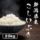 【新米】令和5年度　新潟県産こしいぶき20kg　玄米　産地直送