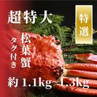 【特選】松葉ガニ　超特大サイズ　約1.1kg～1.3kg　タグ付