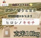 特別栽培コシヒカリ　ヒロシノキモチ　玄米１０kg