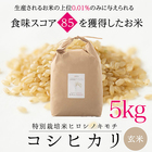 特別栽培コシヒカリ　ヒロシノキモチ　玄米５kg【送料無料】