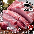 長崎県 プレミアムポーク 秘宝 西海の豚 とんかつ ステーキ用ロース肉 1kg(500g×2パック)