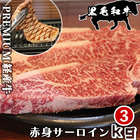 赤身の極み 長崎県 プレミアム経産牛 黒毛和牛 赤身 サーロインステーキ 3kg(500g×6パック)