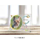 アクリル印刷　愛犬（愛猫）フォトフレーム【送料無料】