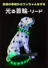 Acid 【セット】光る首輪 + リード犬 散歩 ライト 夜 ペット 充電式 超明るい 軽量 抗菌 小型犬 中型犬 大型犬 サイズ調節可能 【送料無料】
