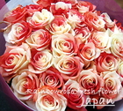 レインボーローズ・紅白のバラ「ジャパン」10本　サプライズプレゼント