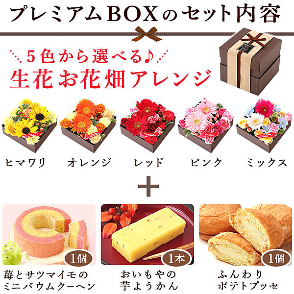 【送料無料】ギフト 和菓子 洋菓子 アレンジ重箱【赤】