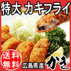 送料無料 カキ 広島県産 カキフライ 特大約40g×20個 広島産 牡蠣/かき