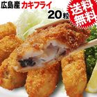 送料無料 カキ 広島県産 カキフライ 特大約40g×20個 広島産 牡蠣/かき