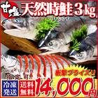 送料無料 お取り寄せ 北海道 産 幻の鮭 天然 時鮭（ときしらず トキシラズ）3kg 前後 鮭 さけ グルメ 産地 直送 口コミ ランキング おすすめ