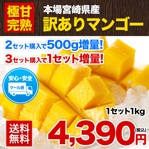 フルーツ 宮崎県産 完熟マンゴー 自家用 4kgの通販 by AKAIKE FARM
