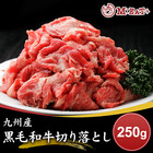 【Meat Plus】「九州産」黒毛和牛切り落とし（250g）＜ポイント交換＞