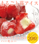 送料無料　まるごと苺アイス 20粒 /練乳いちごアイス/アイス/イチゴ/(月末ポイント)