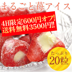 ６００円オフ!!送料無料　まるごと苺アイス 20粒 /練乳いちごアイス/アイス/イチゴ/ (タイムセール)