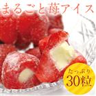送料無料　まるごと苺アイス 30粒 /練乳いちごアイス/アイス/イチゴ/