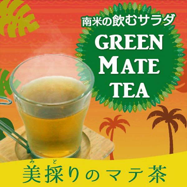 捧呈 メイルオーダー 50包入り大容量 美採りのマテ茶～GREEN TEA～ MATE