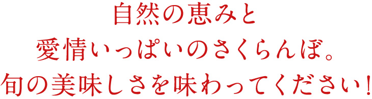 自然の恵みと愛情いっぱいのさくらんぼ。旬の美味しさを味わってください!