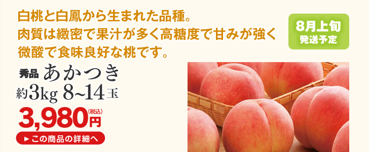 山形県産桃 あかつき 2.6kg | 白桃と白鳳から生まれた品種。肉質は緻密で果汁が多く高糖度で甘みが強く微酸で食味良好な桃です。