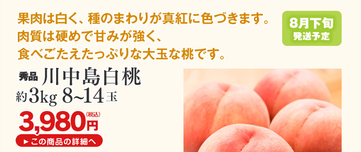 山形県産桃 川中島白桃2.6kg | 果肉は白く、種のまわりが真紅に色づきます。肉質は硬めで甘みが強く、食べごたえたっぷりな大玉な桃です。