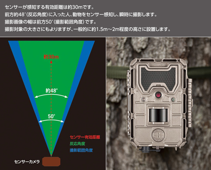 安いHOT 日本正規品 ネイチャービューHDライブの通販はau PAY