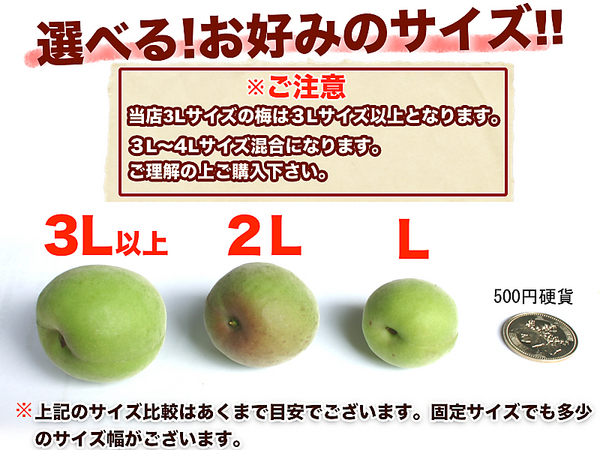 ヤマダモール | 【予約受付開始】和歌山県産 南高梅 完熟梅 秀品 10kg
