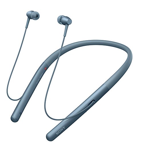 ソニー ワイヤレスイヤホン h.ear in 2 Wireless WI-H700 : Bluetooth/ハイレゾ対応 最大8時間連続再生 カナル型 マイク付き 2017年モデル 360 Reality Audio認定モデル ムーンリッ