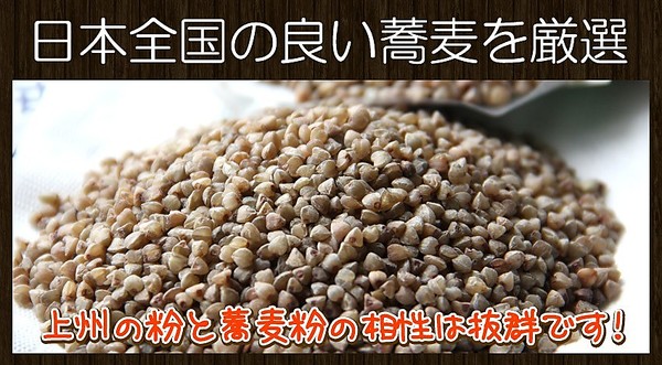 【送料無料】信州そば 約2～3人前（250g×1）乾麺 季節のおすすめ品 信州