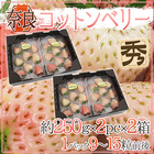 奈良県産 ”白いちご コットンベリー” 2pc×《2箱》（1pcあたり9～15粒前後 約250g）【予約 12月以降】 送料無料