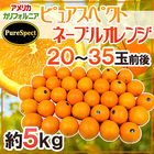 カリフォルニア産 プレミアムオレンジ ”ピュアスペクトネーブルオレンジ” 20～35玉前後 約5kg【予約 1月下旬以降】 送料無料