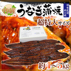 ”うなぎ蒲焼” 約4～5kg 中国産 ウナギ/鰻/有頭腹開 送料無料