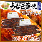 ”うなぎ蒲焼” 約8～10kg（約4～5kg×2箱） 中国産 ウナギ/鰻/有頭腹開 送料無料