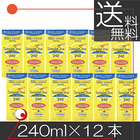 【送料無料】HOYA　シンプルワン 240ｍｌ　×12本 ハードコンタクトレンズ用 洗浄液