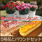 母の日 花 スイーツ 送料無料 4種類から選べる カーネーション鉢植え5号 と オレンジのパウンドケーキ セット