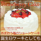 誕生日ケーキ バースデイケーキ お菓子 お返し スイーツ 送料無料 あまおういちごのショートケーキ 5号
