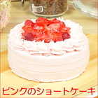 【セゾン用】あまおういちご使用 ピンクのショートケーキ